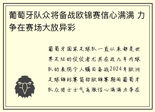 葡萄牙队众将备战欧锦赛信心满满 力争在赛场大放异彩